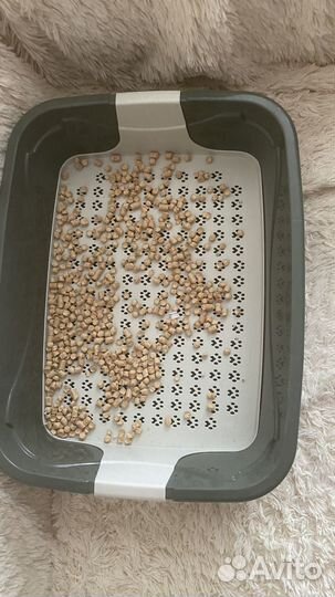 Туалет-лоток для кошек большой и наполнитель