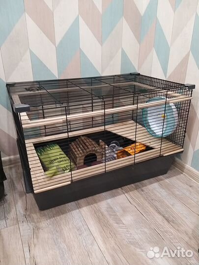 Клетка для грызунов бу