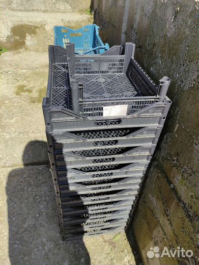 Ящики пластиковые