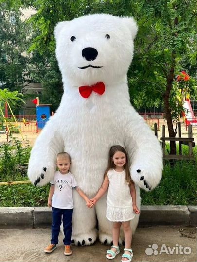 Экспресс поздравления