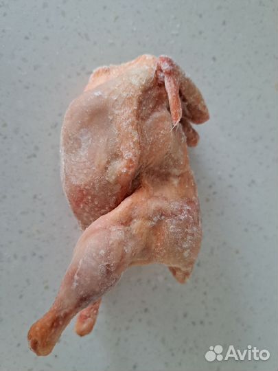 Перепелки тушки