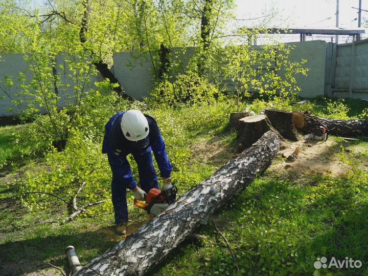 Расчистка участка, благоустройство