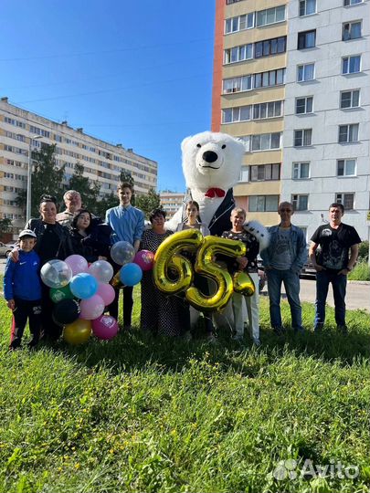 Поздравление от белого медведя