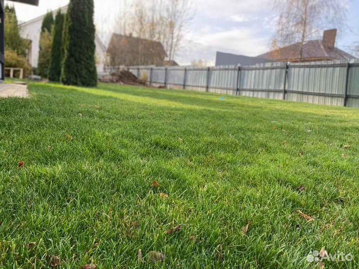 Укладка рулонного газона