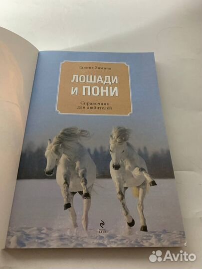 Книги лошади и пони справочник для любителей