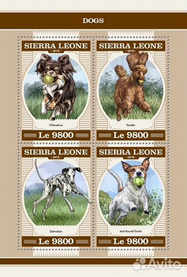 Сьерра-Леоне, 2018. (18210) Фауна, собаки (мл+блок