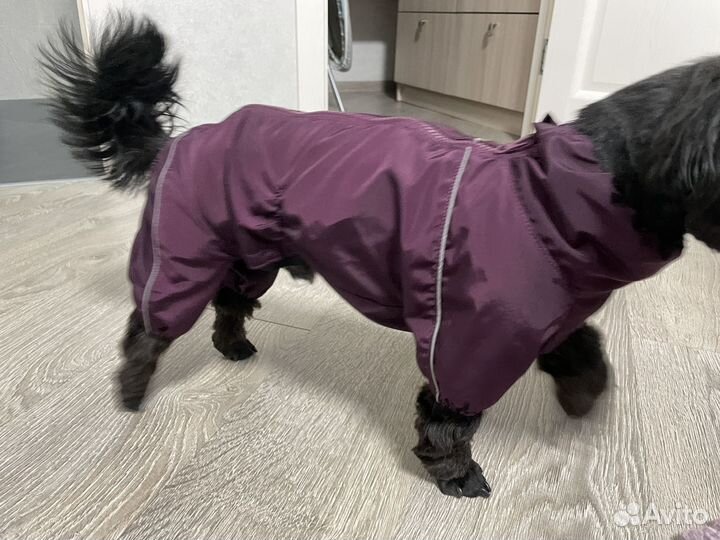 Дождевик для собак