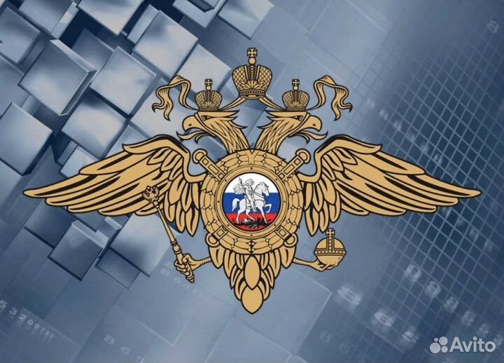 Полицейский, мвд (1 год за 1,5)