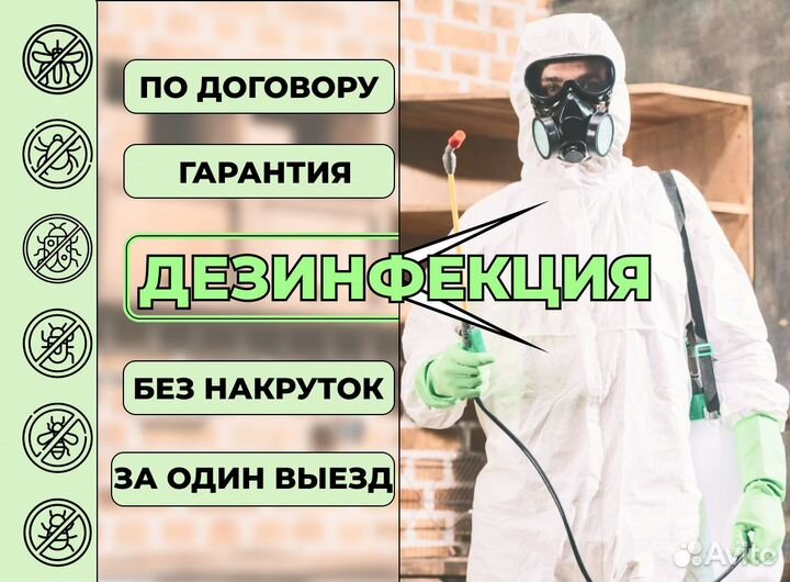 Уничтожение тараканов клопов и насекомых