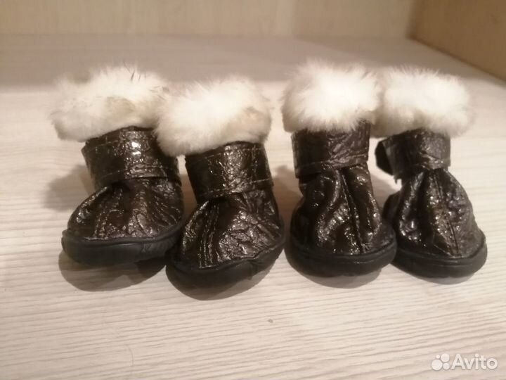 Сапожки для собак