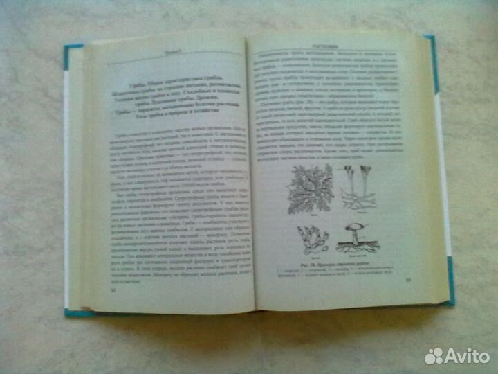 Основы биологии. Школьный курс