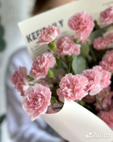 Кустые диантусы букет цветы 1129