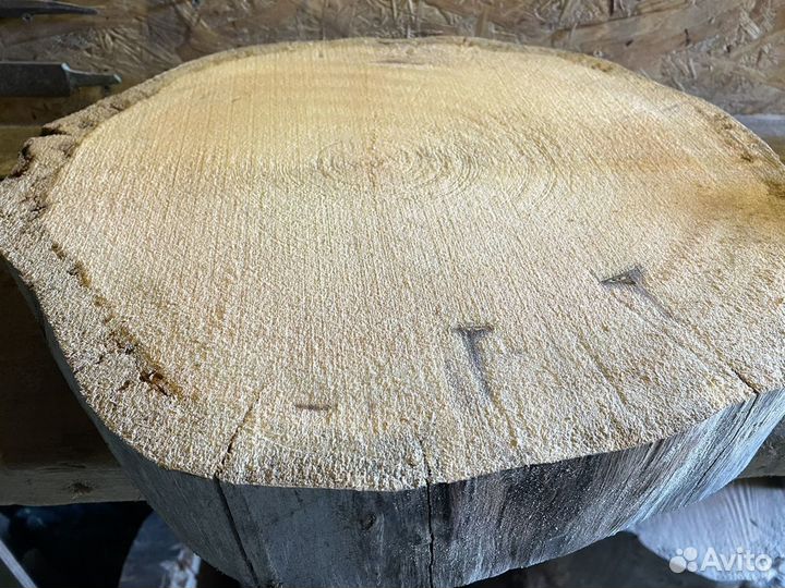 Слэб дерева и спилы / Спил для столика