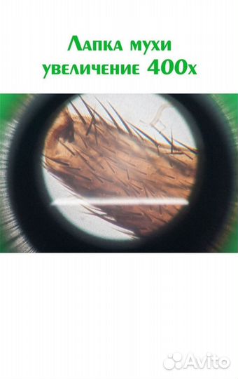 Микроскоп Микромед