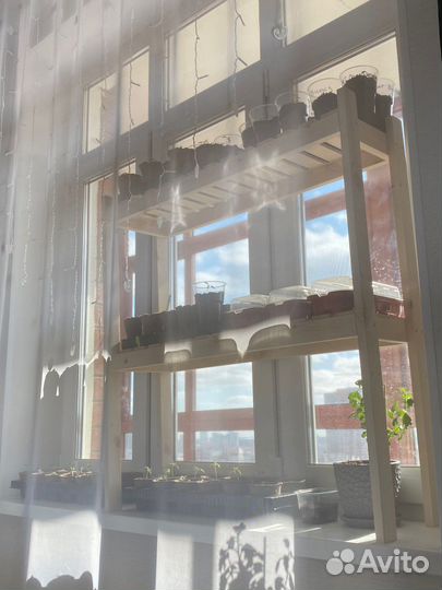 Стеллаж для рассады