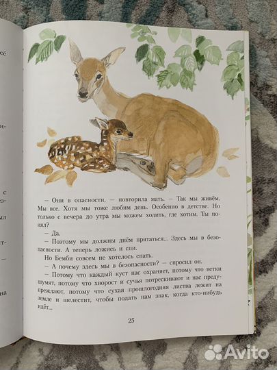 Книга Бемби