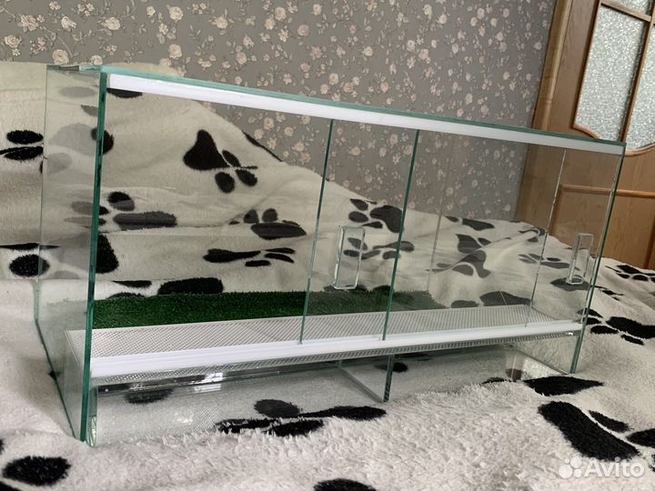 Террариум для рептилий