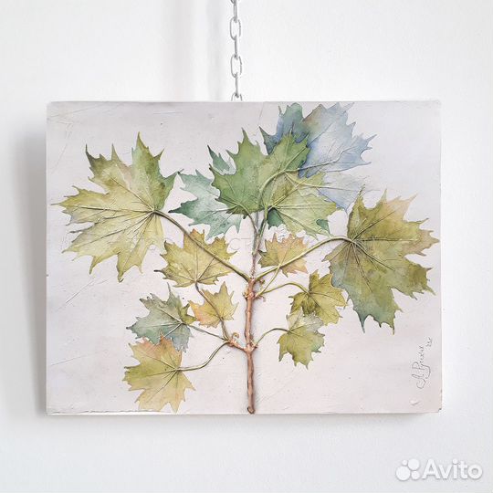 Ботанический барельеф 