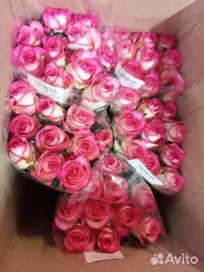 Цветы (розы) оптом