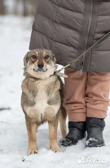 Муся мечтает о доме и любимом человеке