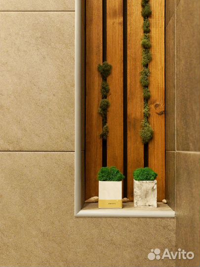 Кашпо со мхом