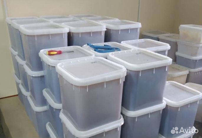 Мед натуральный алтайский оптом минимально 16 кг