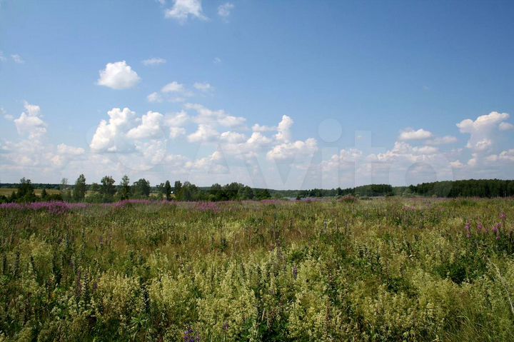 Участок 5,6 га (СНТ, ДНП)