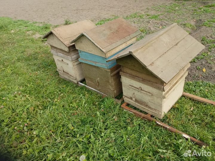 Улей для пчел