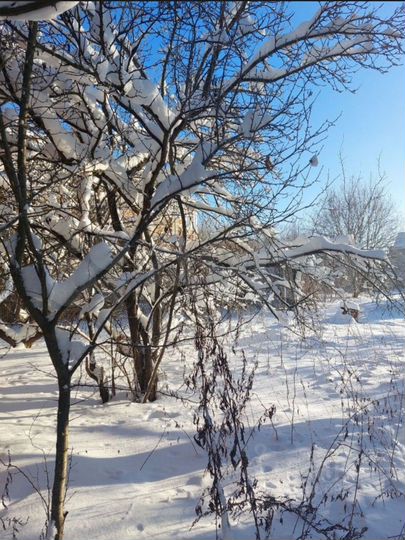 Участок 13,3 сот. (ИЖС)