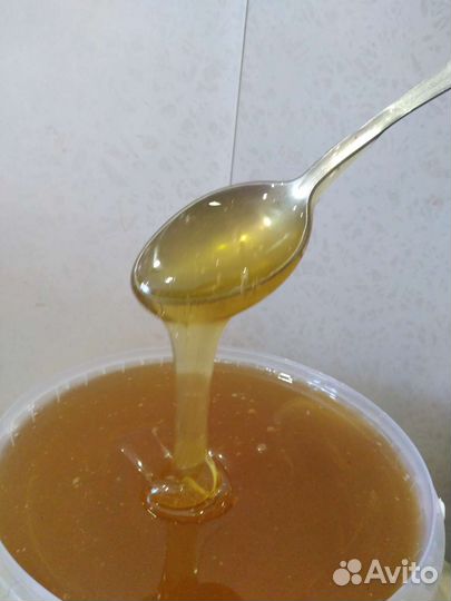 Мёд Липовый (Башкирия )