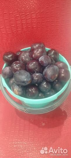 Продам дляваших животных овощную-фруктовую смесь