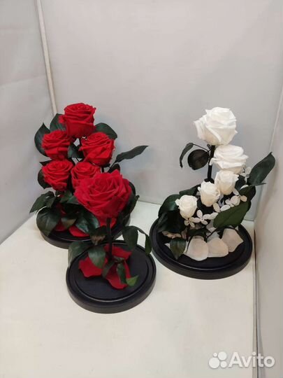 Роза в колбе оптом