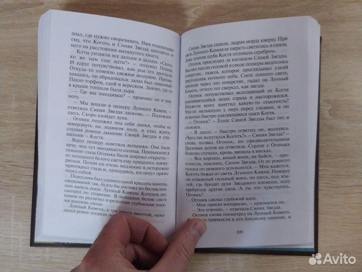 Книга коты воители