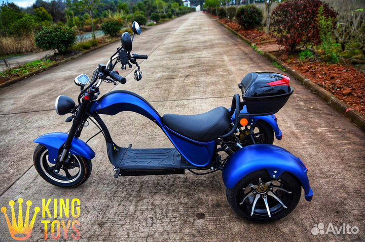 Электроскутер Citycoco SkyBoard trike chooper