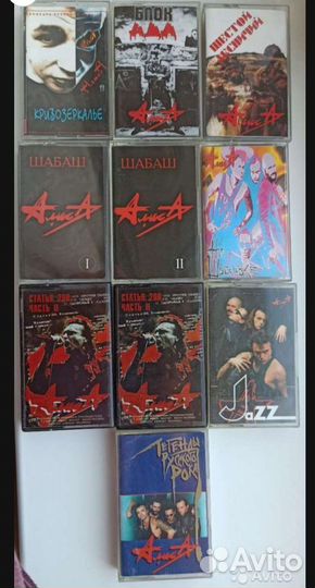 Алиса,Бахыт К, Янка,Сектор,Нау,Зоопарк