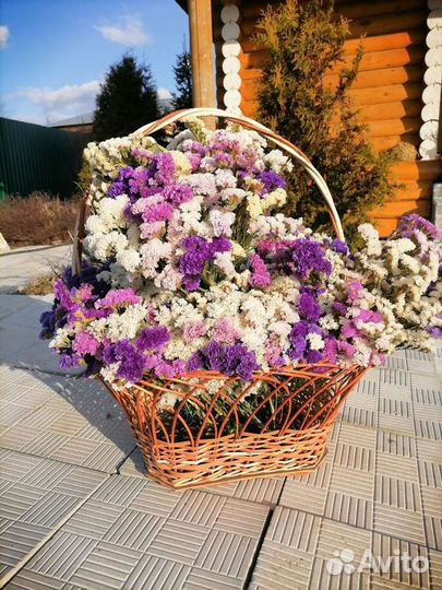 Статица на срезку