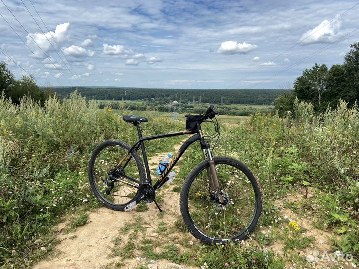 MTB Stinger Element Pro SE 29