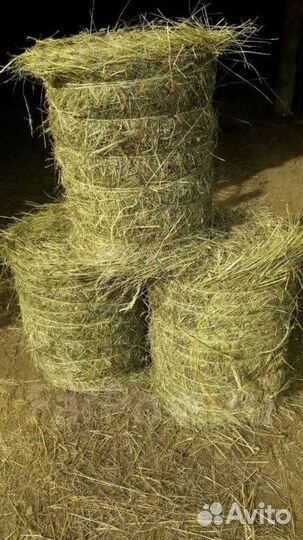 Сено-солома