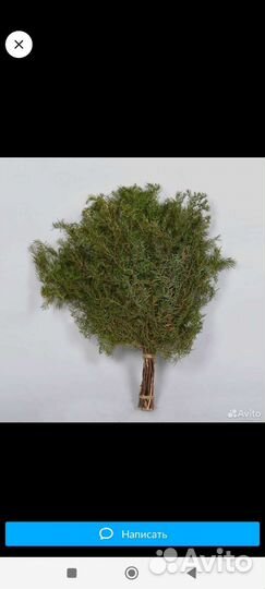 Веники для бани можжевеловый