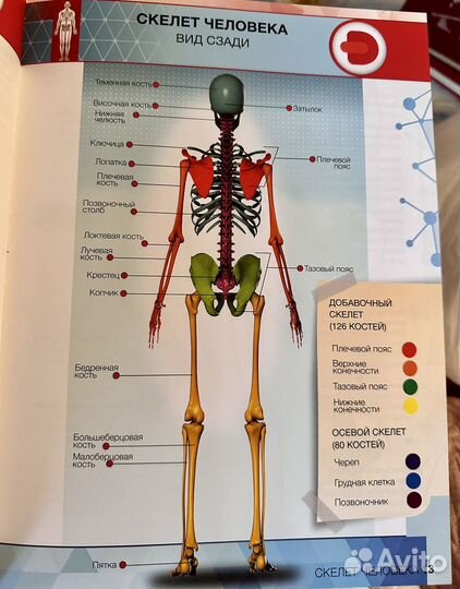 4D энциклопедия в дополненной реальности