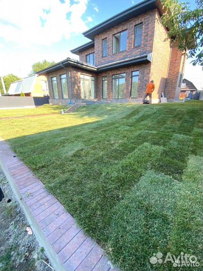 Рулонный газон автополив под ключ любой объем