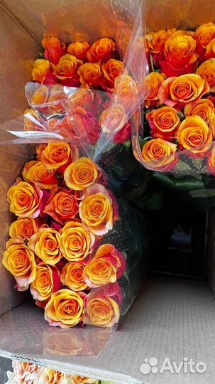 Букет роз