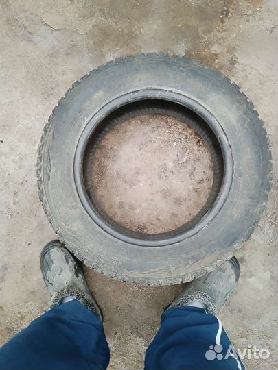 Зимняя резина r15 195 65 бу