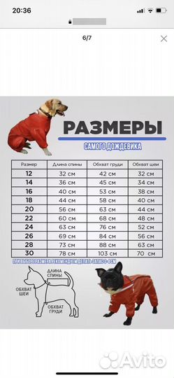 Дождевик для средней собаки