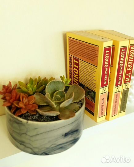 Флорариум, суккуленты, композиция