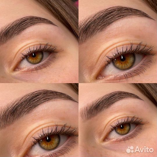 Курс Мастер-Бровист