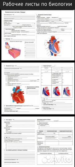 Репетитор по химии и биологии