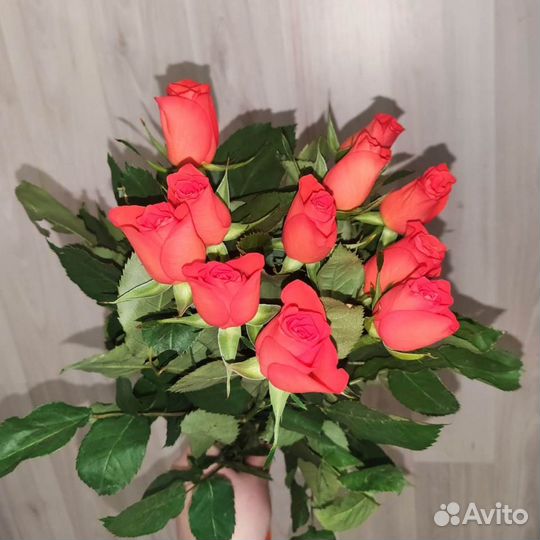 Букет из роз Almanza Премиум 60 см (11-101)