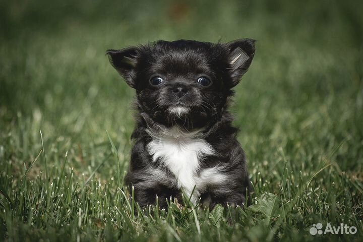 Голубое облачко