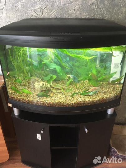 Аквариум с тумбой